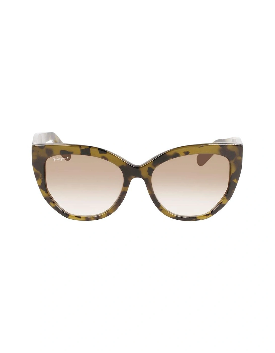Acetate Sunglasses 56/18/145 mm Women - Brown