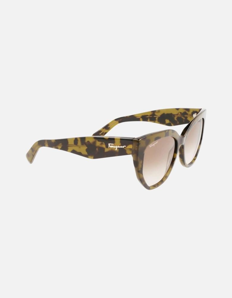 Acetate Sunglasses 56/18/145 mm Women - Brown