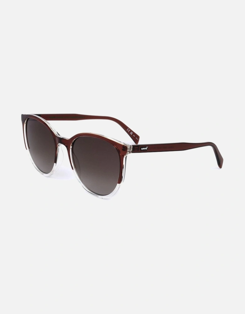 Resin Sunglasses with Brown Lenses Women - Black
