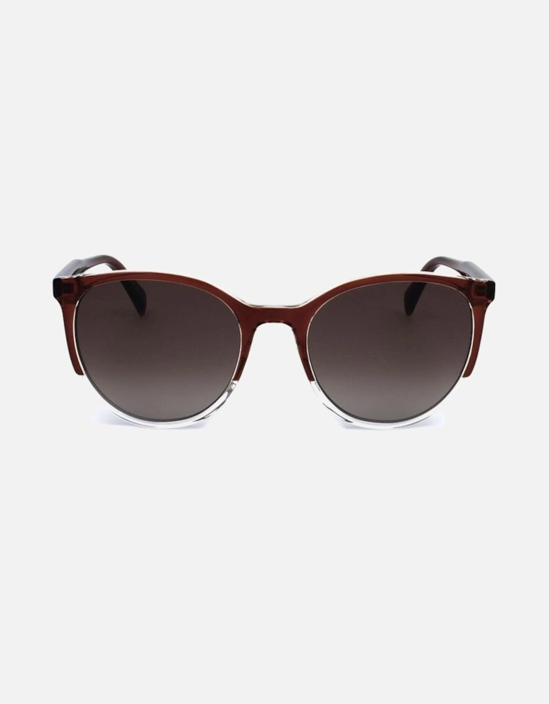 Resin Sunglasses with Brown Lenses Women - Black