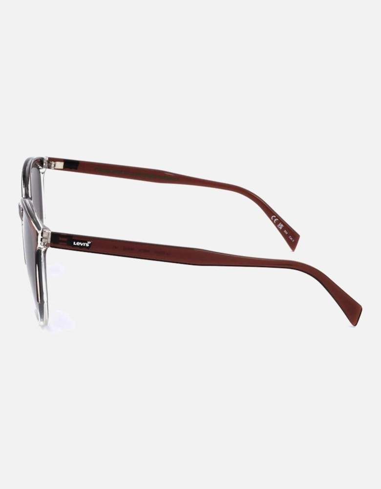 Resin Sunglasses with Brown Lenses Women - Black