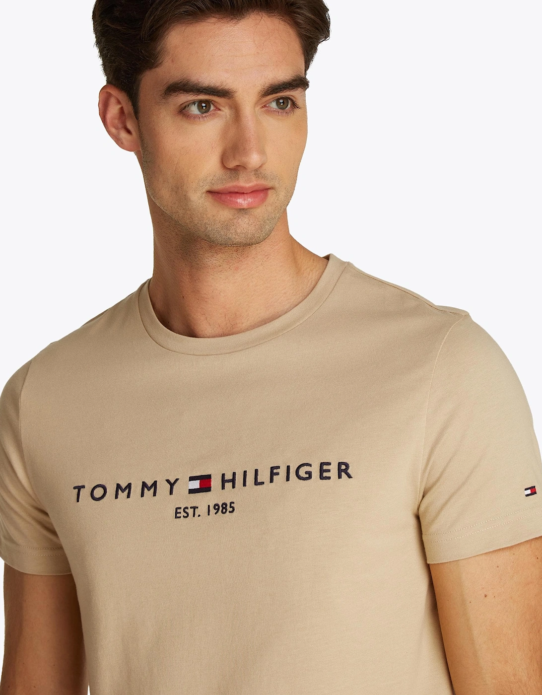 Tommy Logo Basic Mens T-Shirt