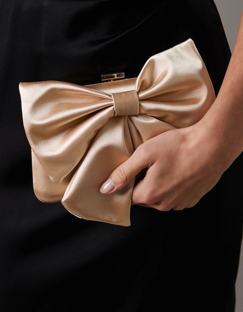 Azalea Satin  Bow Detail Clutch Bags