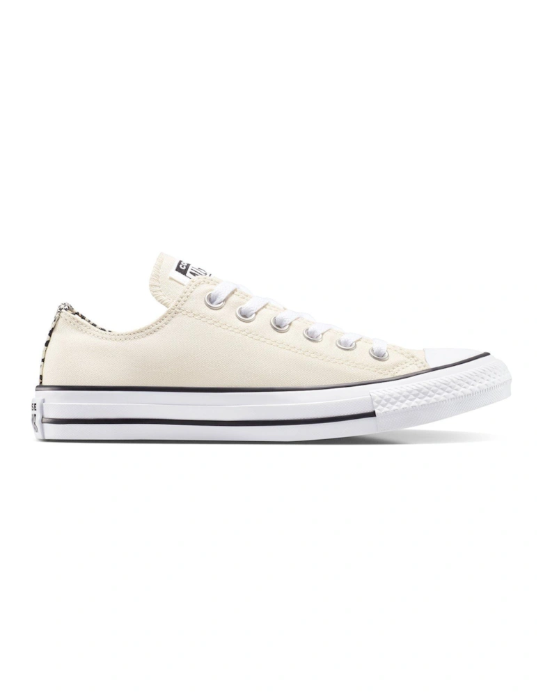 Women's Chuck Taylor All Star Canvas Trainers - Light Grey