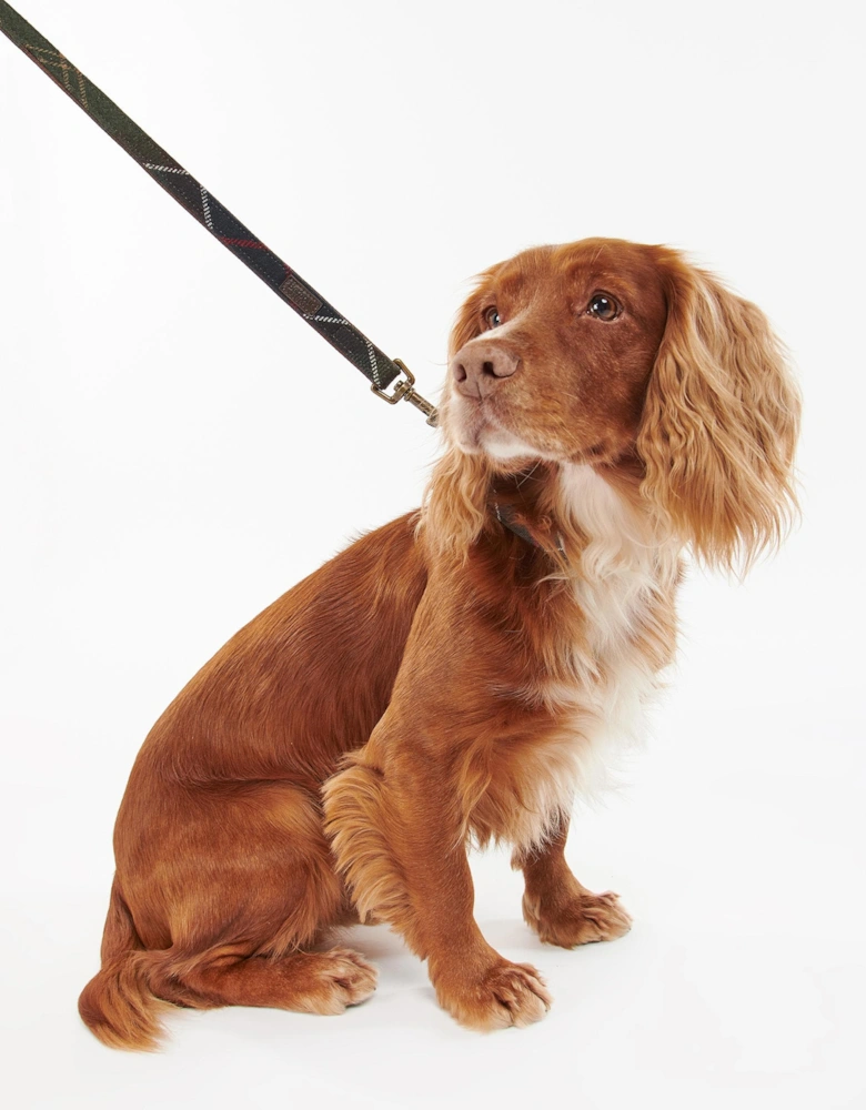Tartan Dog Lead