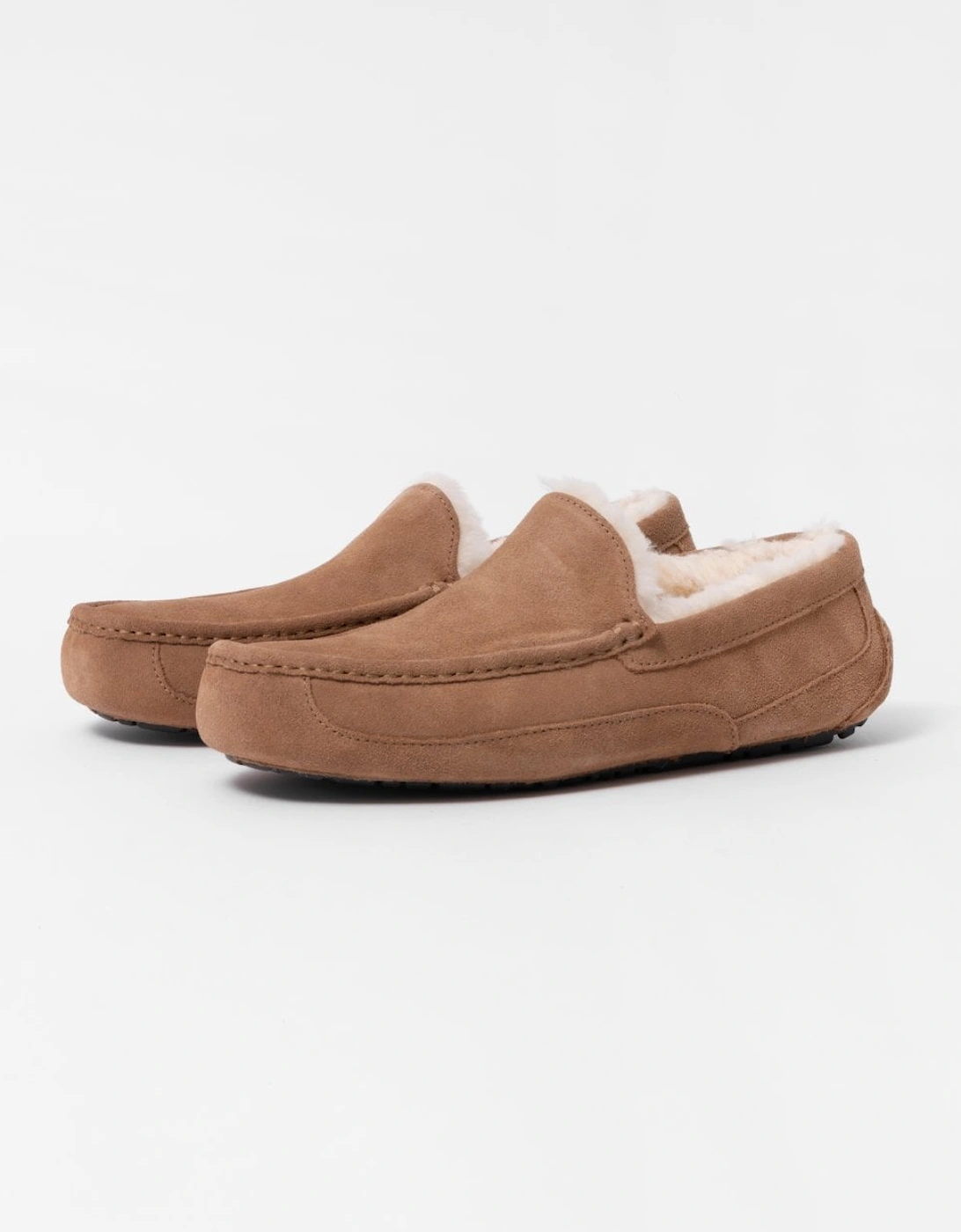 Men's UGG Ascot Mens Slipper - Chestnut - Brown - Size: 7
