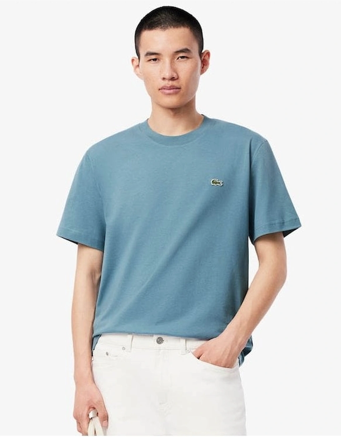 Mens Classic Fit Cotton Jersey T-Shirt, 6 of 5