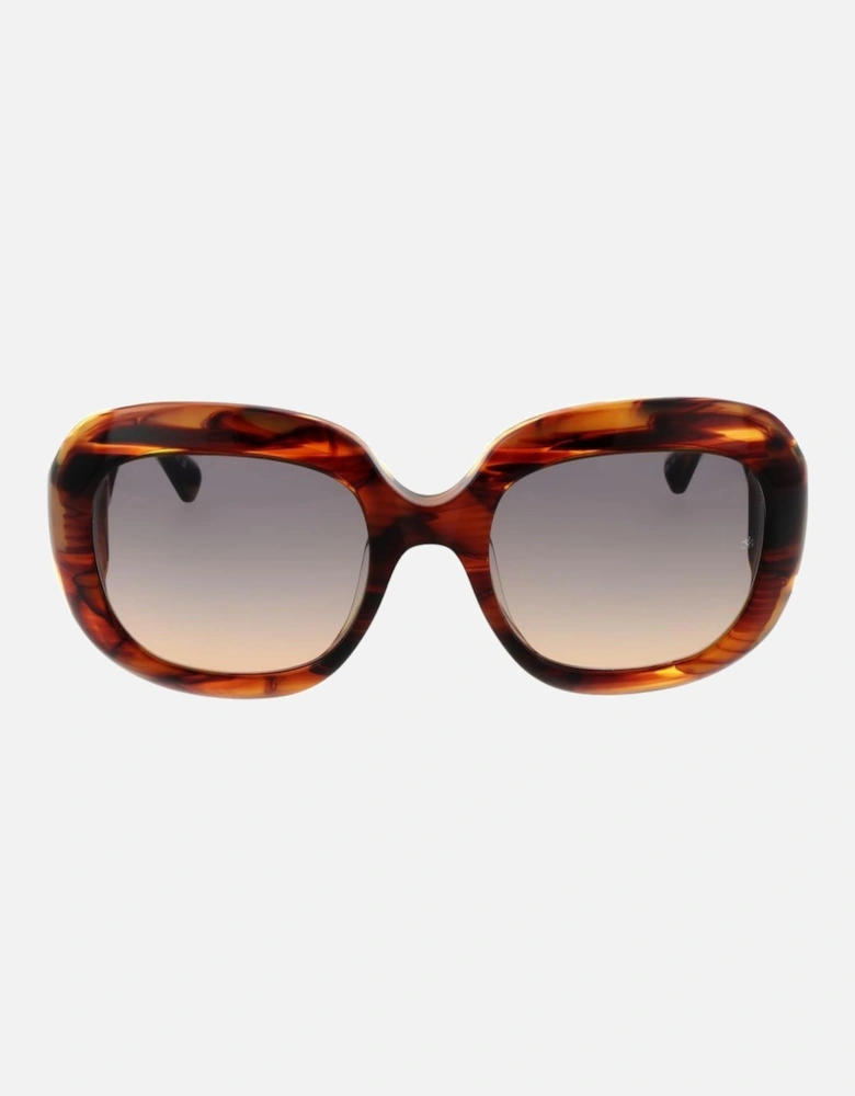 Butterfly Gradient Full-Rim Acetate Sunglasses Women - Brown