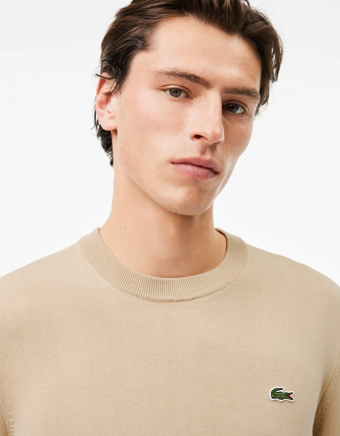 Mens Organic Cotton Crew Neck Sweater