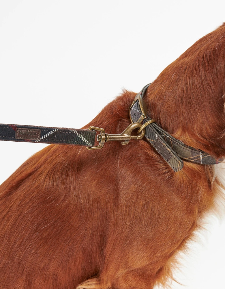 Tartan Dog Lead