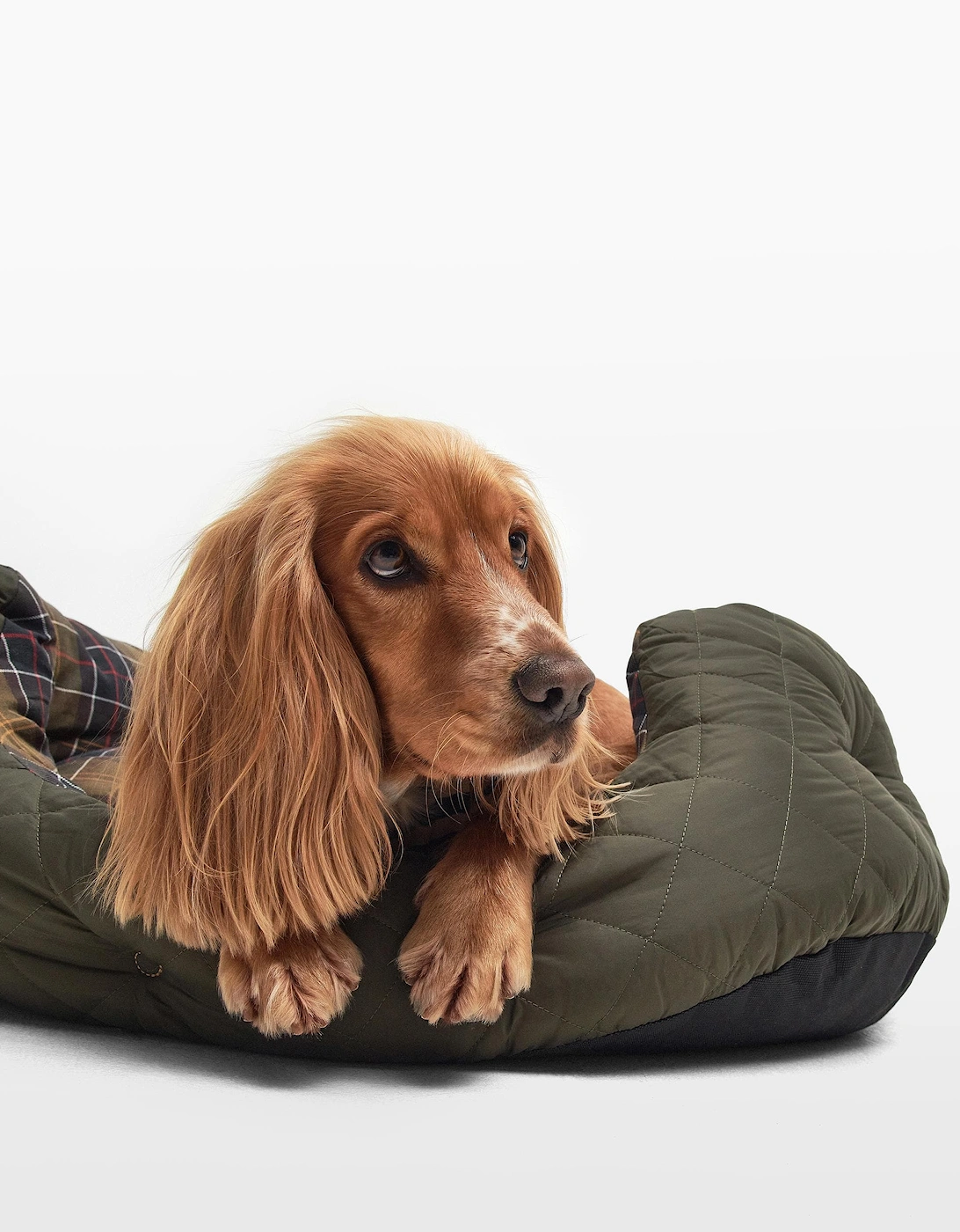 Quilted Dog Bed 30 Inches
