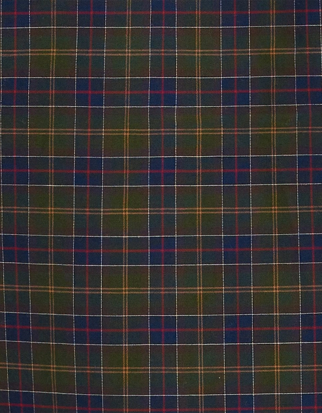 Lomond Tailored Mens Shirt