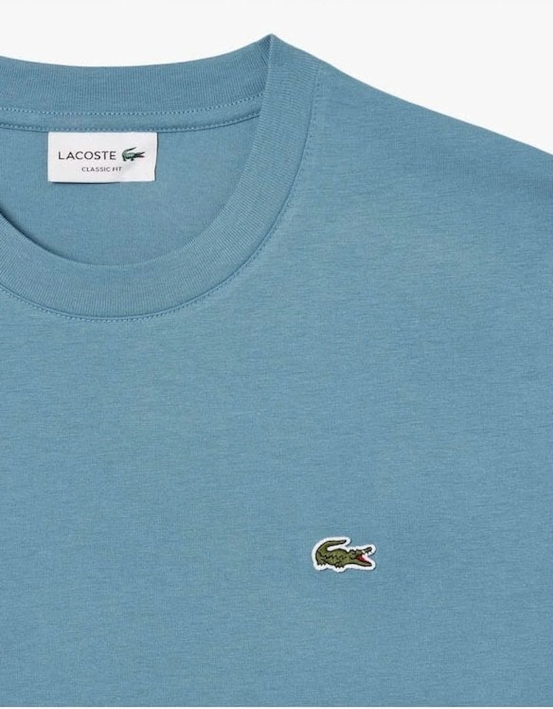 Mens Classic Fit Cotton Jersey T-Shirt