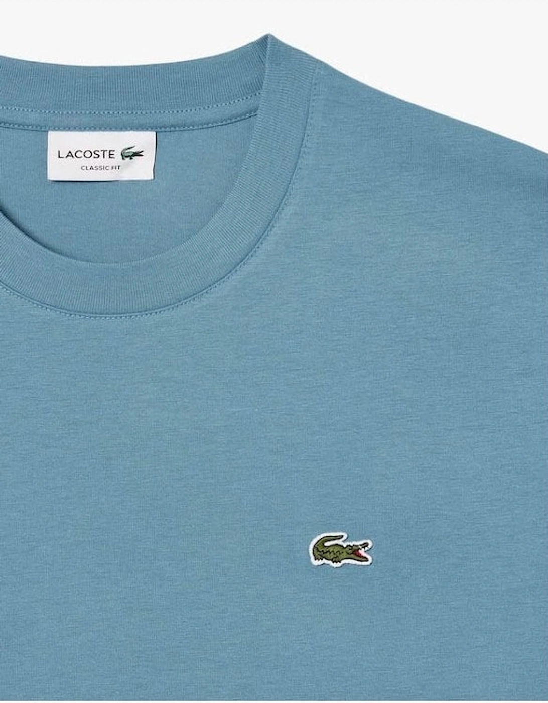 Mens Classic Fit Cotton Jersey T-Shirt