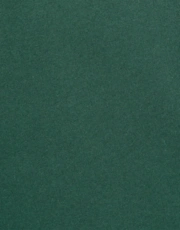 Thumbnail 6 of 7