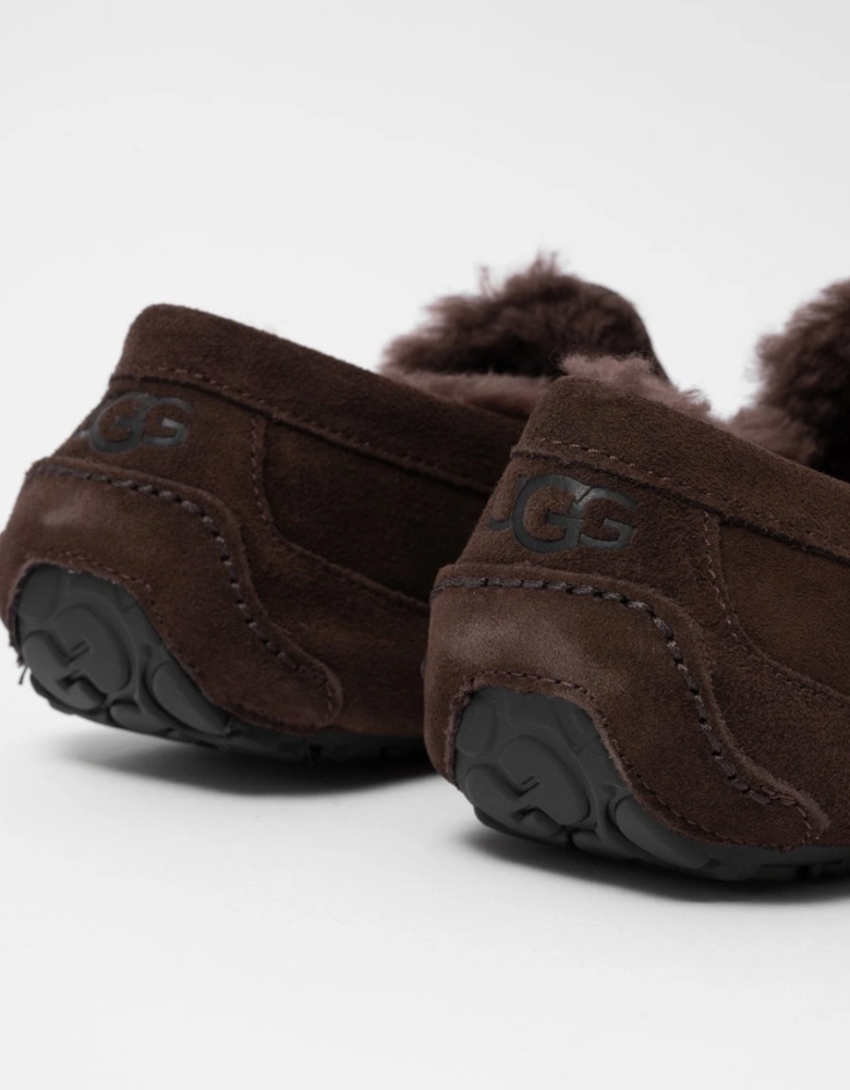 Ascot Mens Slipper - Dusted Cocoa