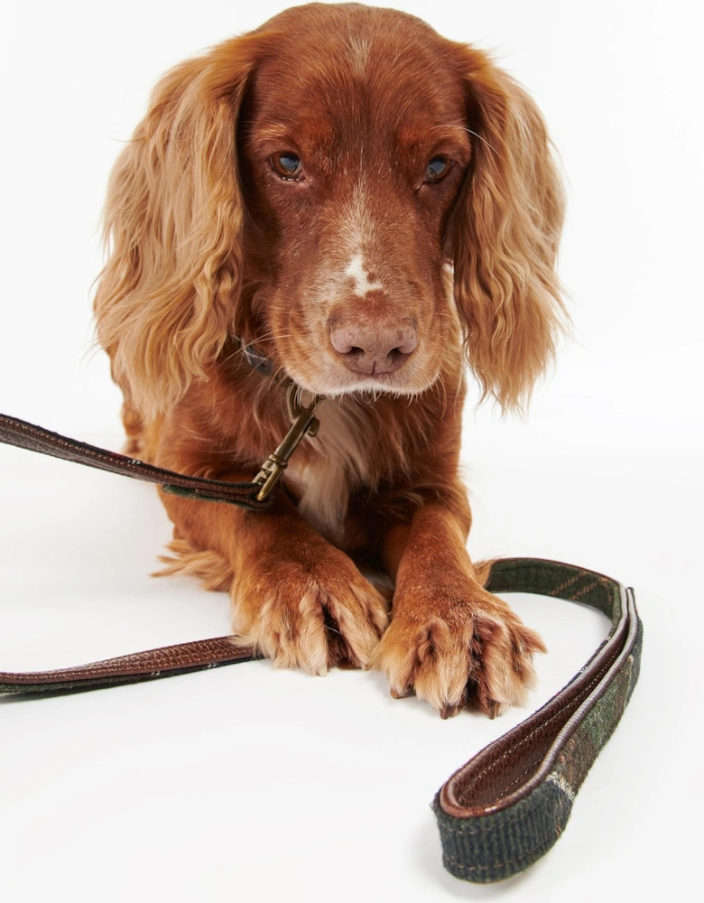 Tartan Dog Lead