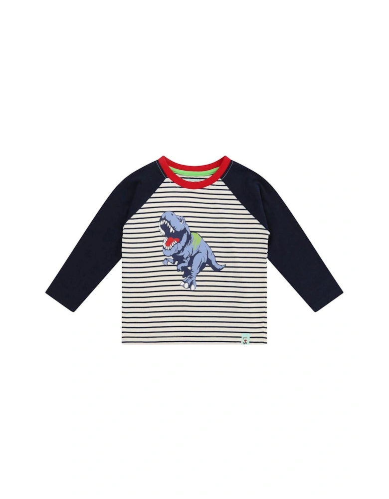 Boys Dino Raglan Top - Multi