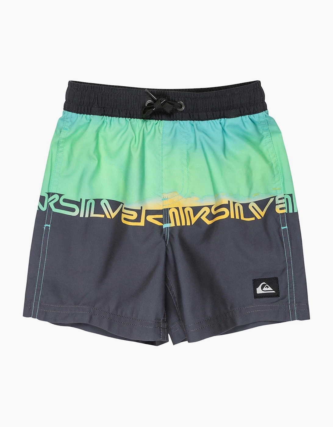 Quiksilver Men's Quiksilver Mens Everyday Straight Volley - Black
