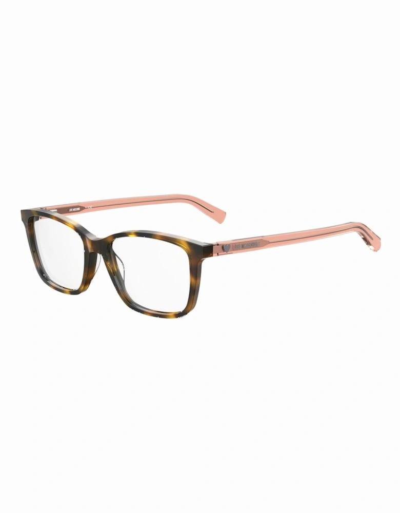 Acetate Havana Glasses Women - Brown Frames