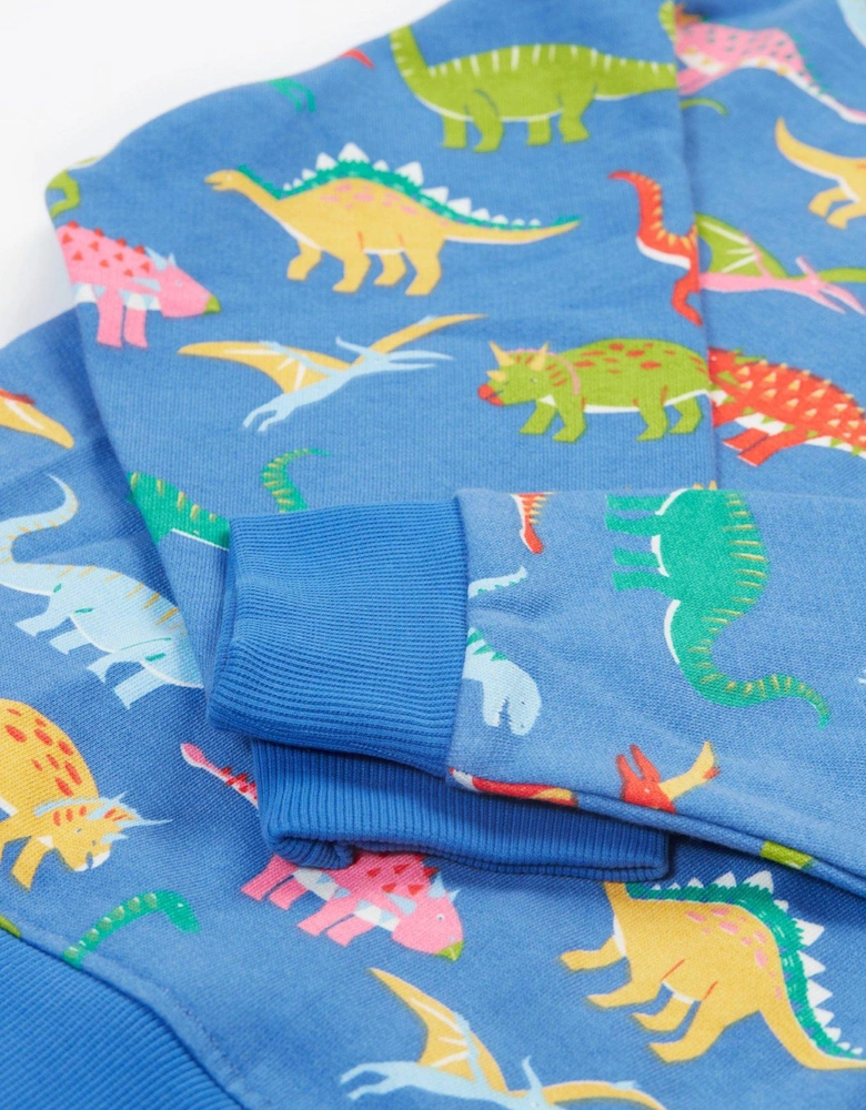 Boys Superb Sweatshirt - Blue