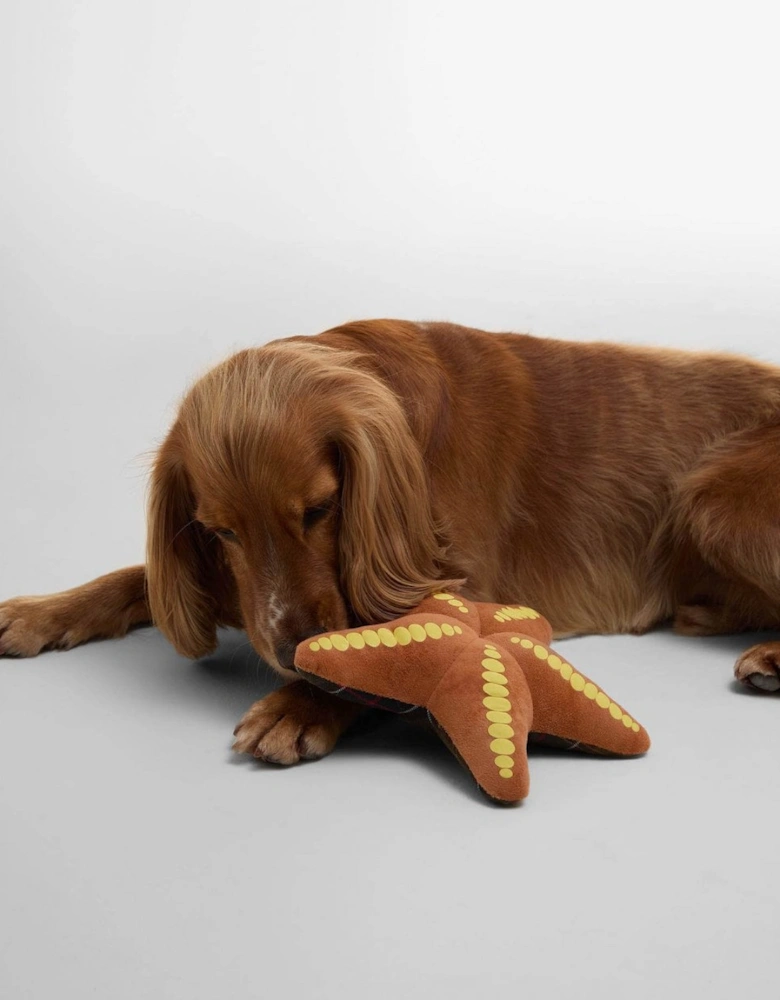 Starfish Dog Toy