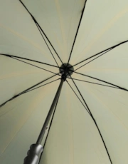 Thumbnail 3 of 3