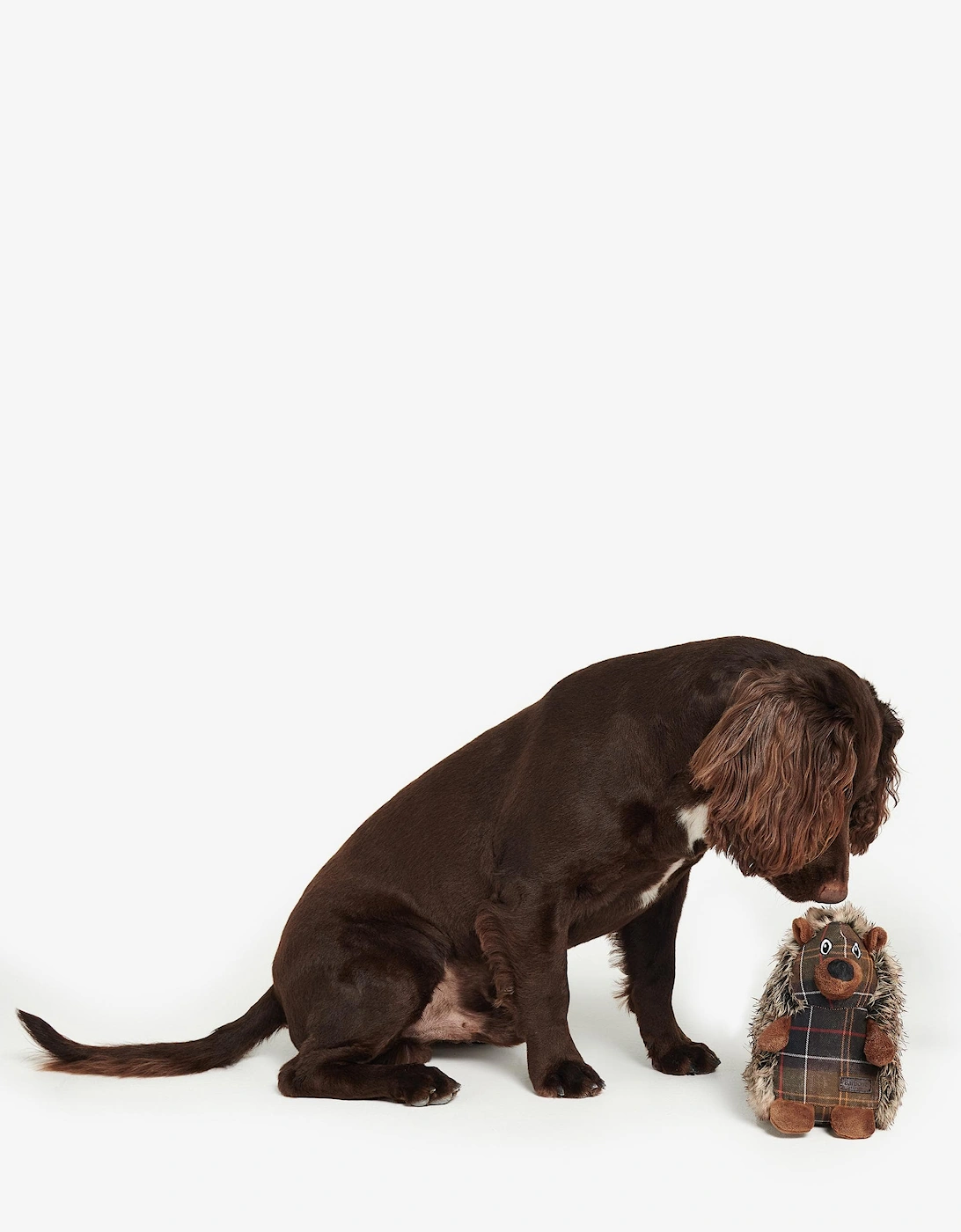 Hedgehog Dog Toy