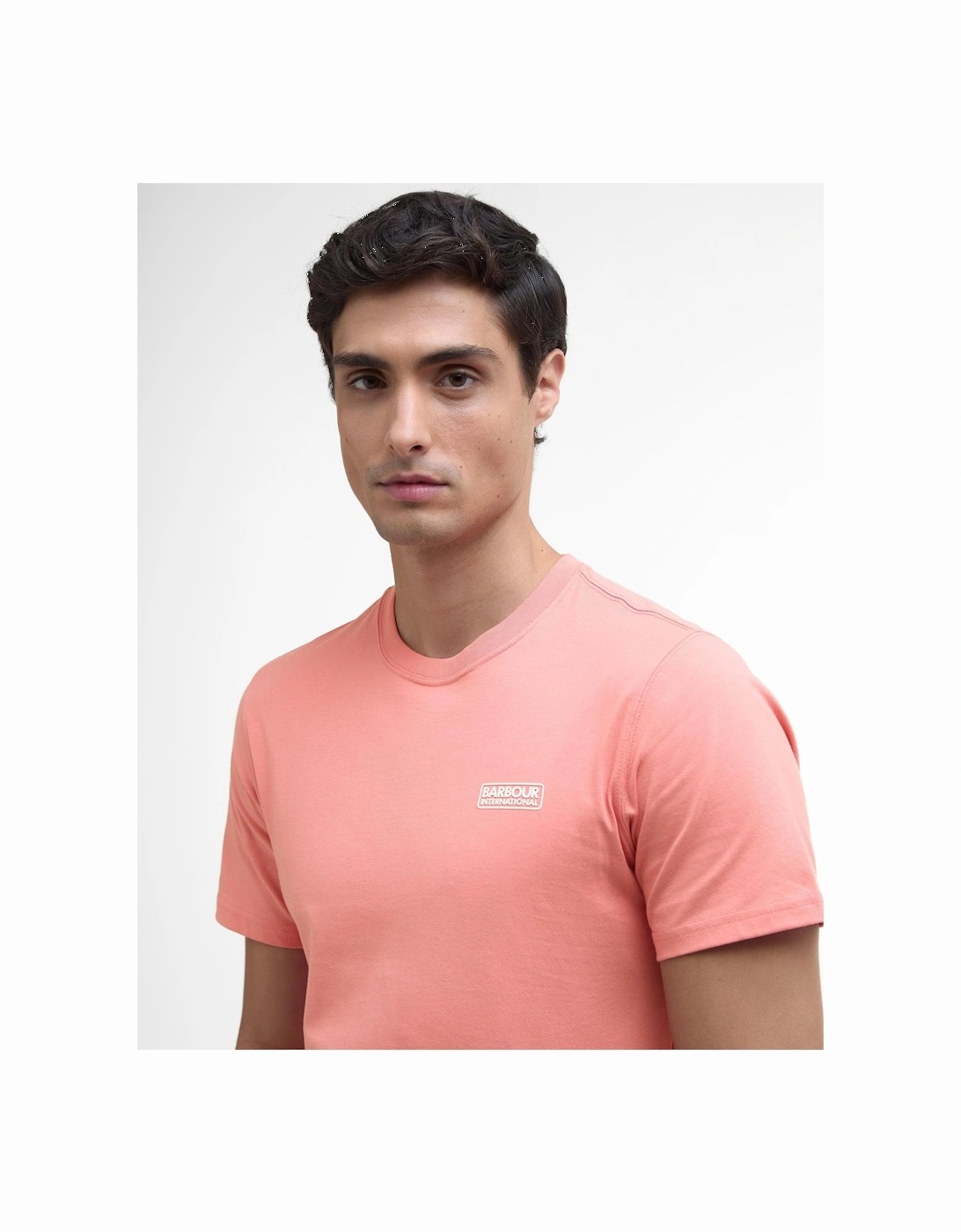 Small Logo Mens T-Shirt