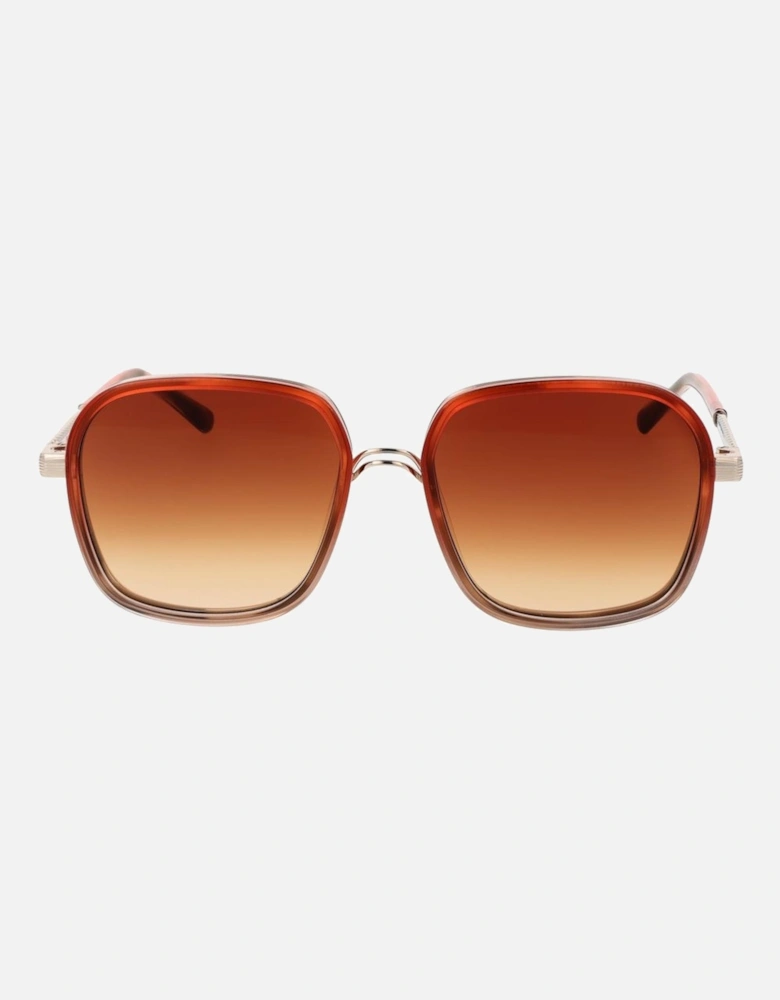 Square Gradient Full-Rim Acetate Sunglasses Women - Orange