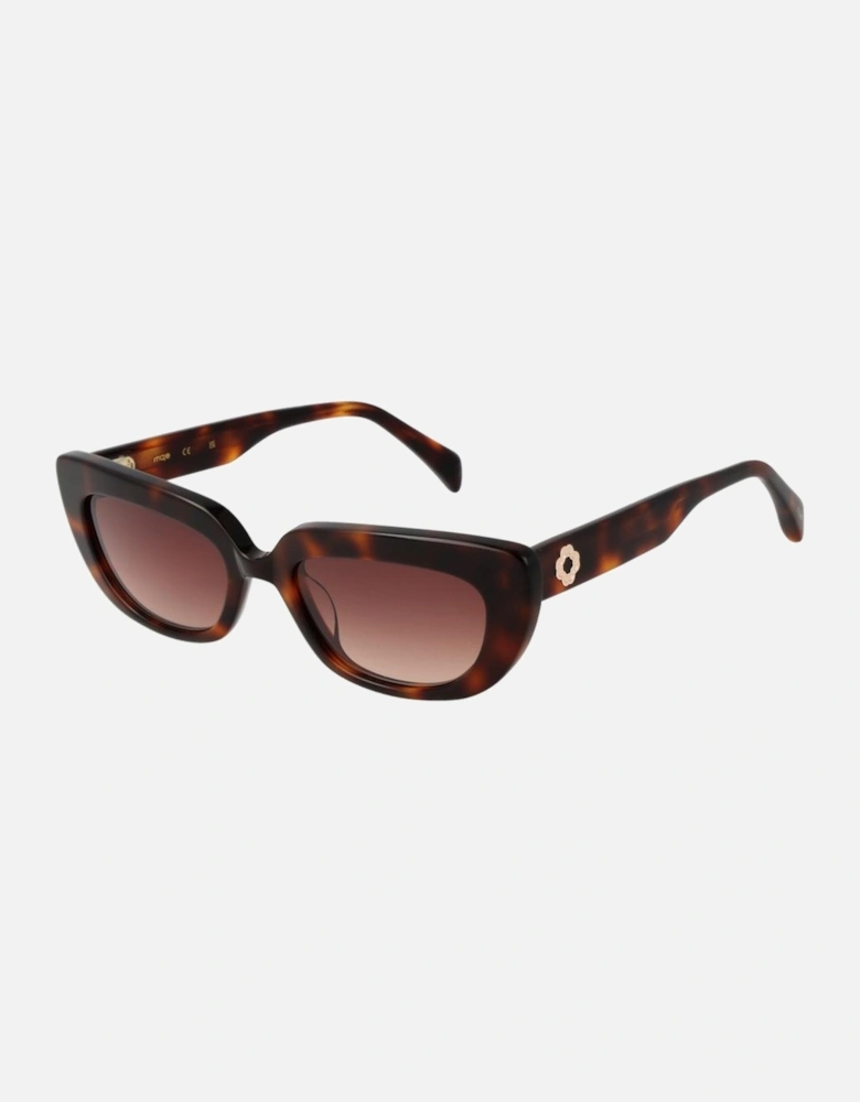 Cat Eye Acetate Sunglasses with 100% UV Protection Women - Brown