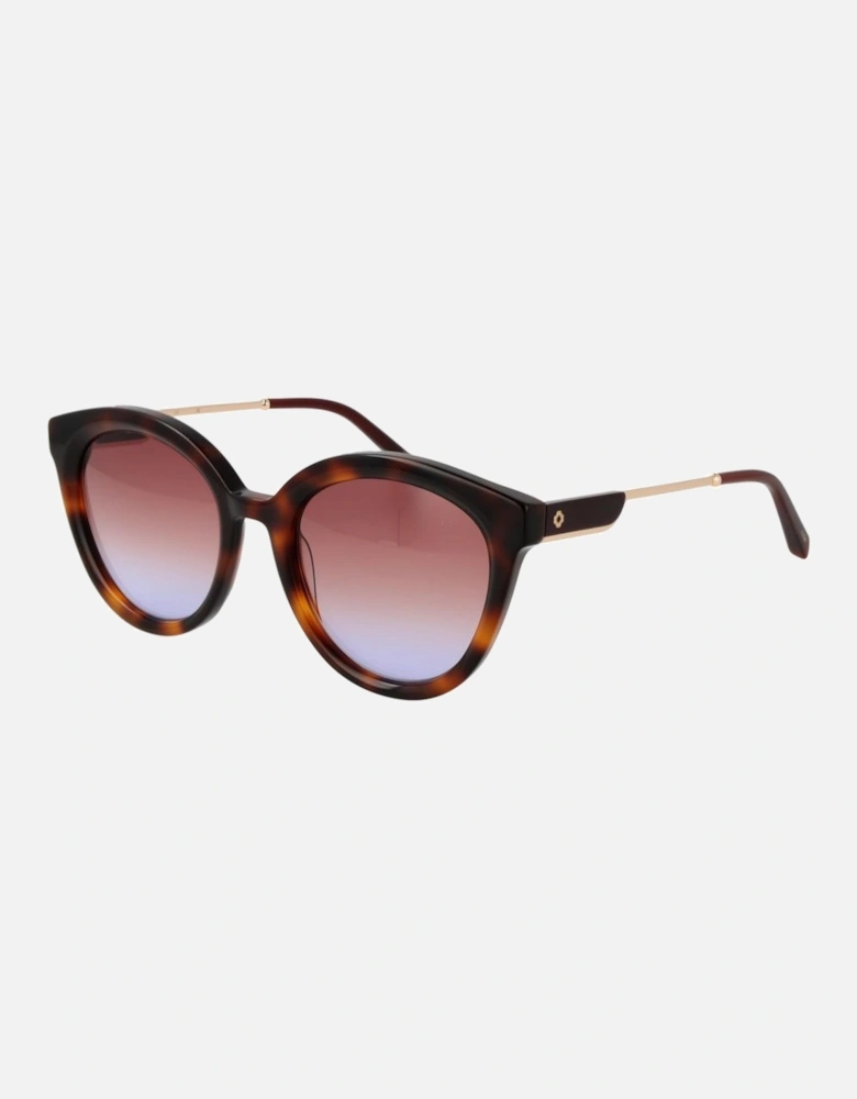 Round Gradient Acetate Sunglasses with Blue Lenses Women - Brown