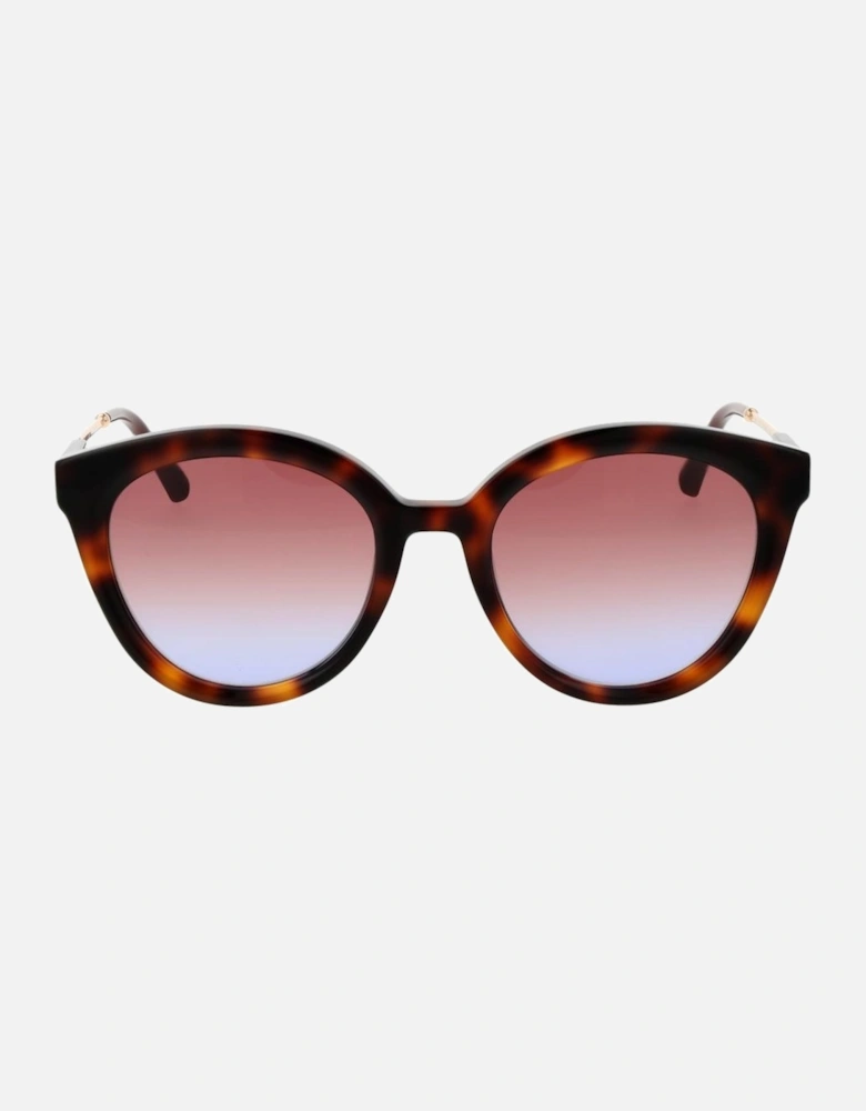 Round Gradient Acetate Sunglasses with Blue Lenses Women - Brown