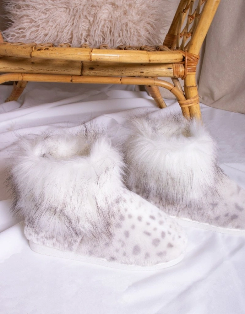 Fern in Snow Leopard