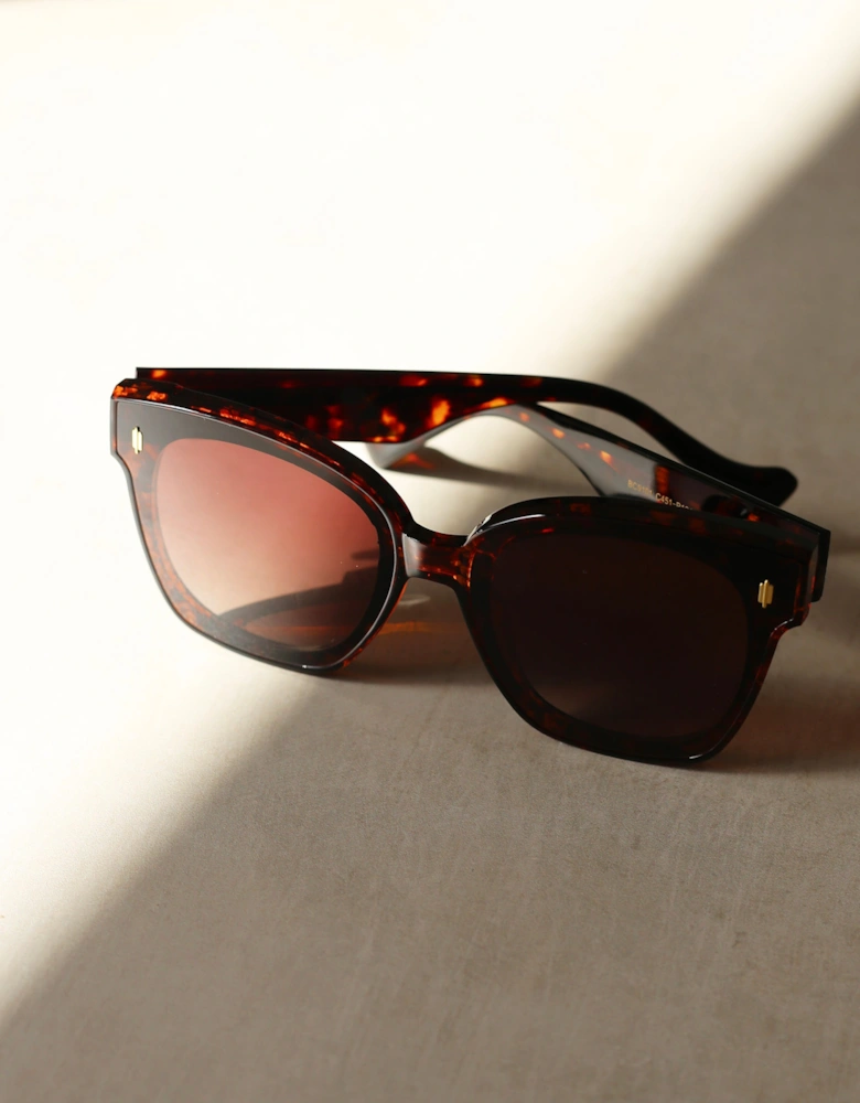Dene Sunglasses