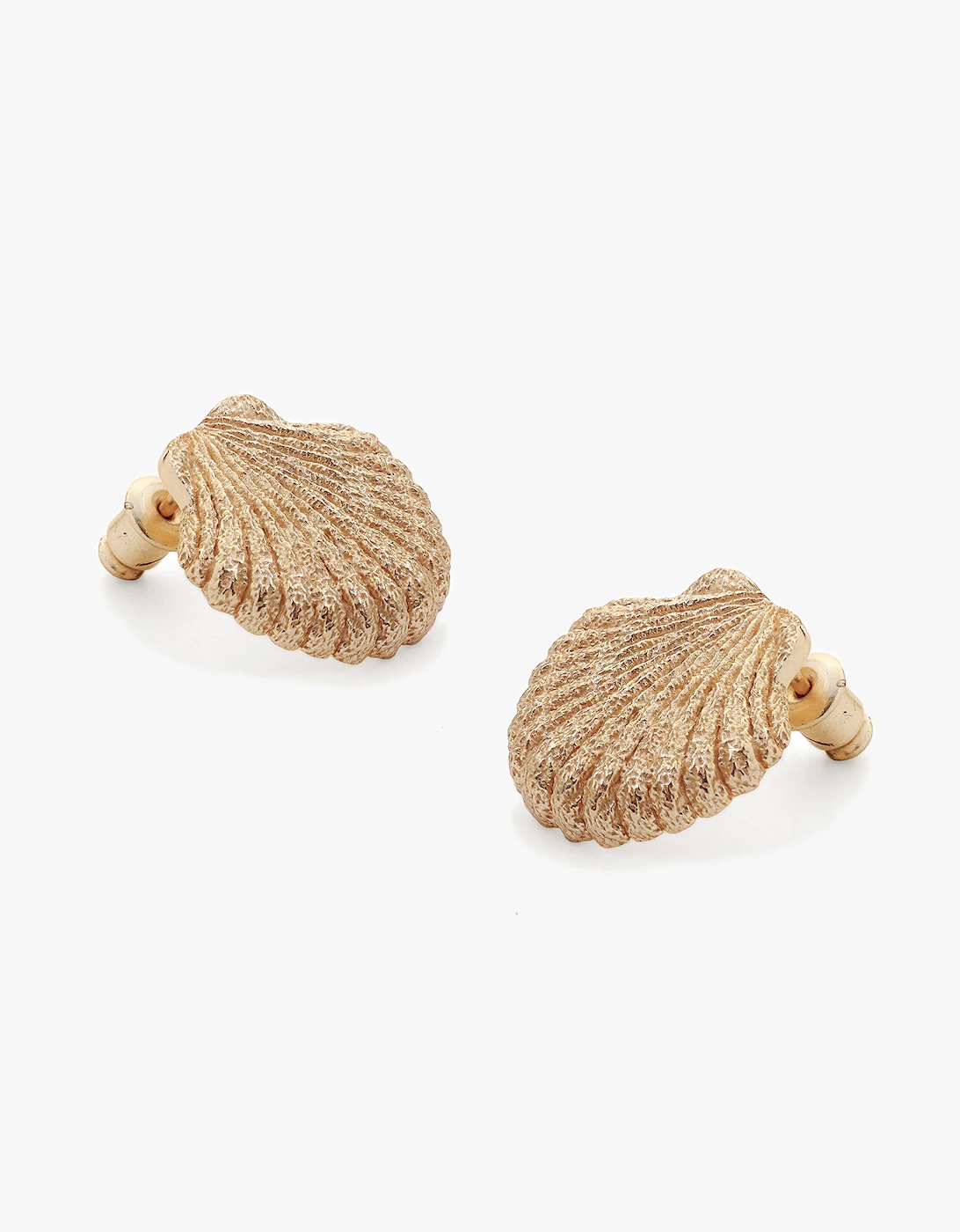 Tutti & Co Women's Seashell Earrings - Gold