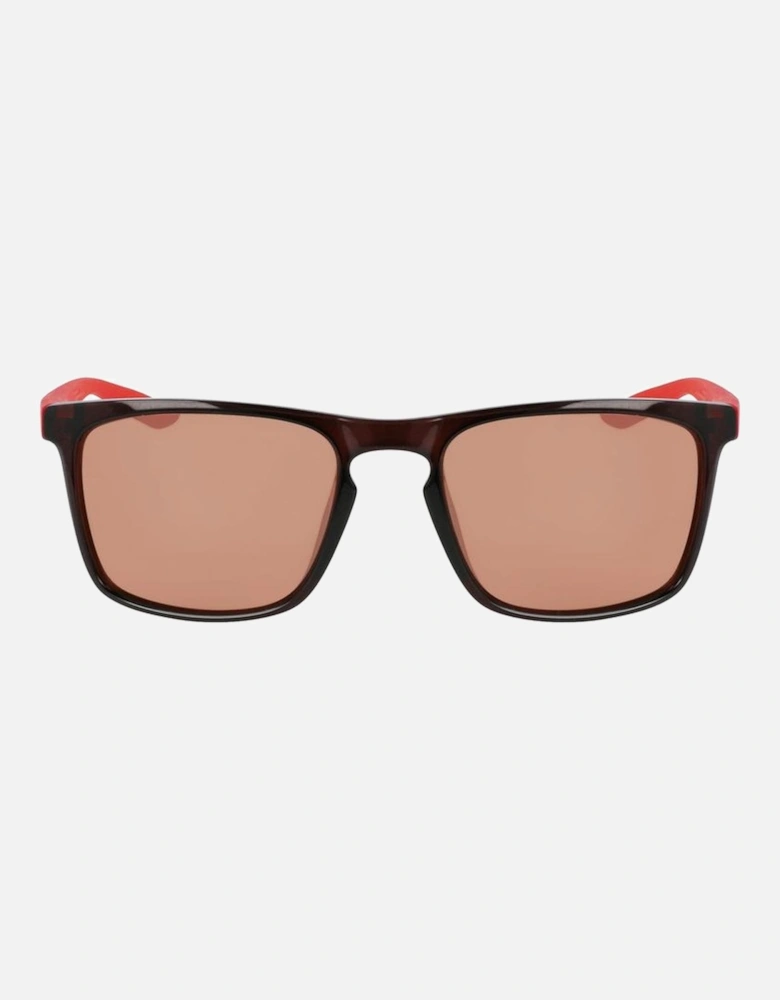 Injected UV Filter 2 Sunglasses Unisex - Brown
