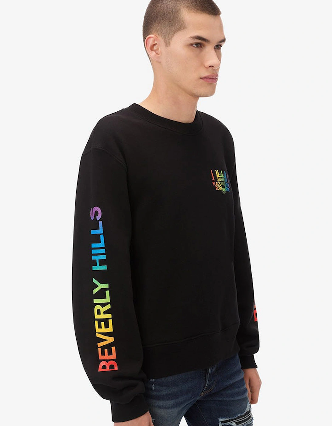 Exclusive Beverly Hills Printed Sweatshirt in Black