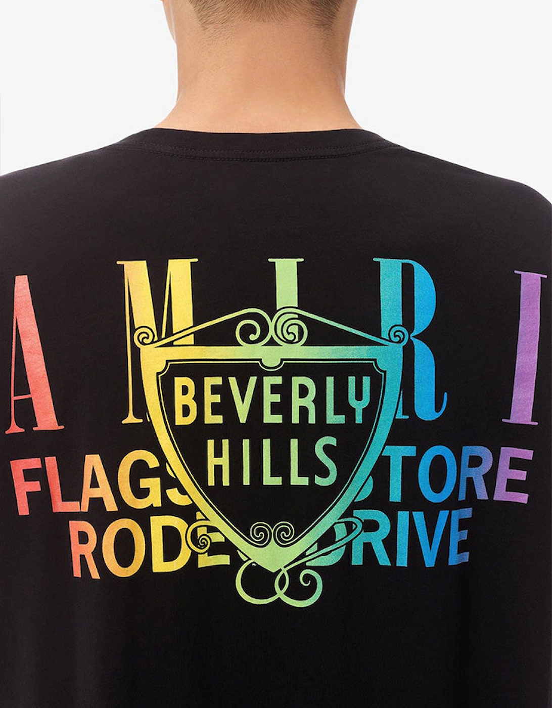 Exclusive Beverly Hills Rainbow Printed T-Shirt in Black