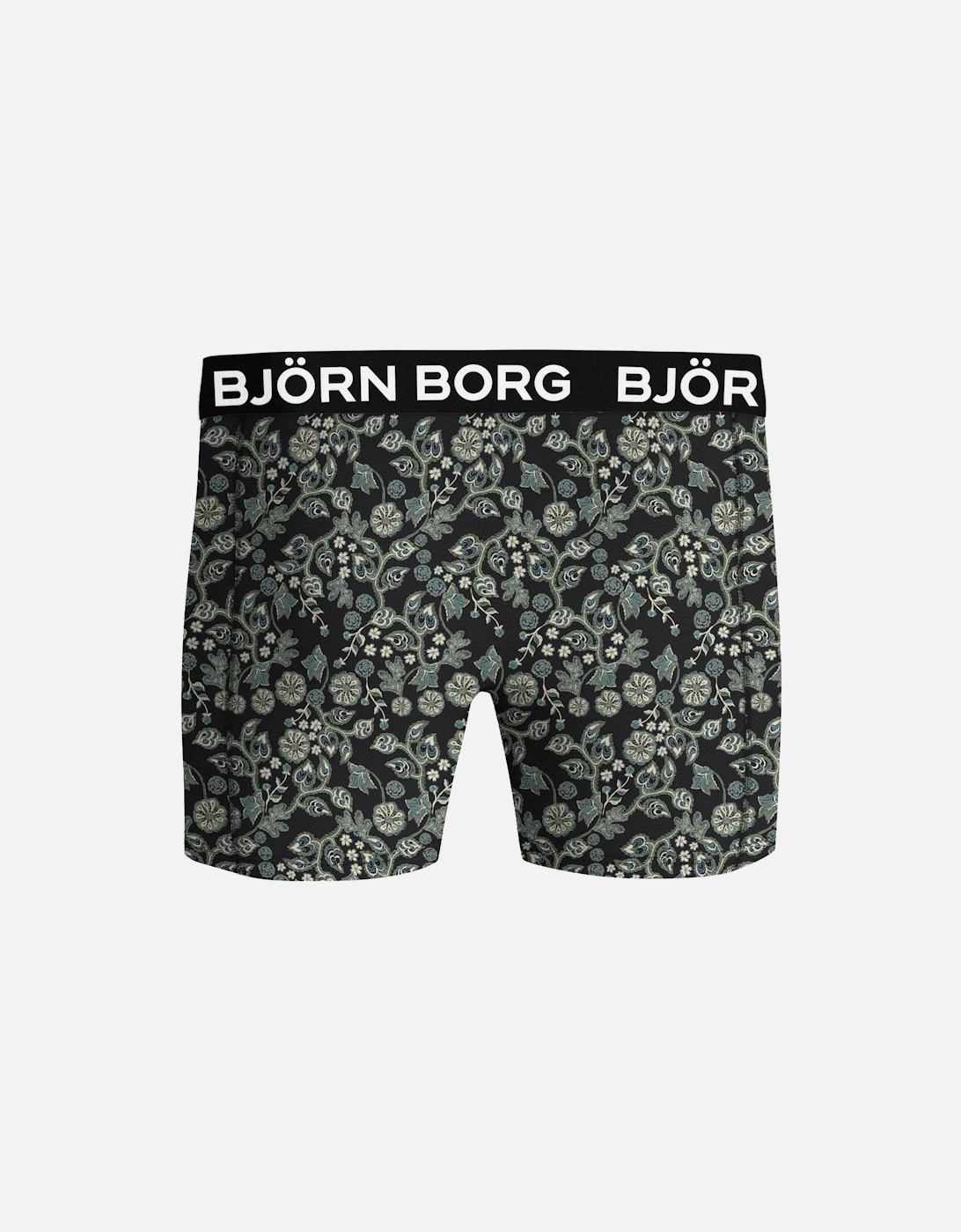 2-Pack Leaf Silhouette Bamboo Boxer Briefs, Black/Green