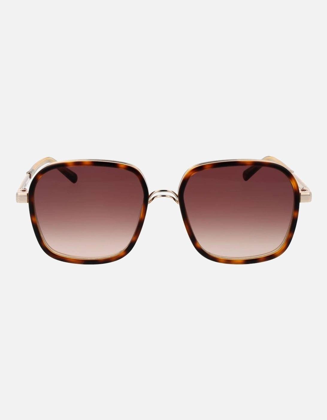 Square Gradient Brown Acetate Sunglasses Women