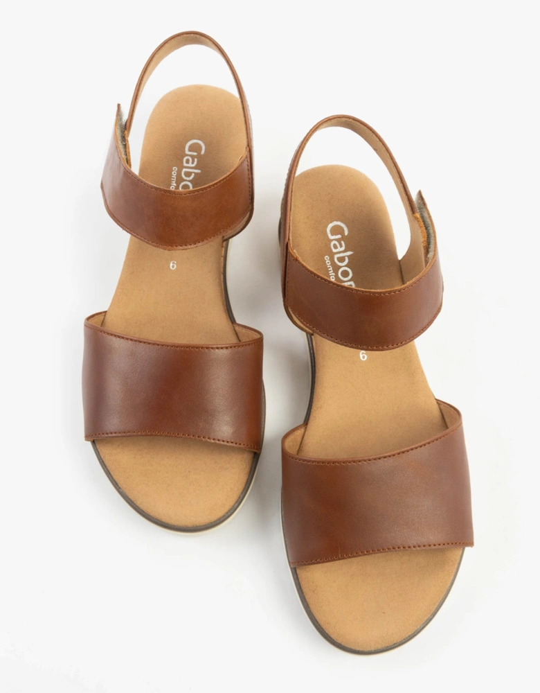 RAYNOR Womens Sandals Camel