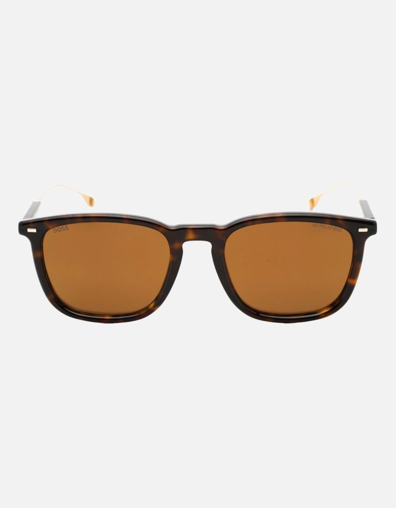 Brown Lensed Havana Brown Sunglasses