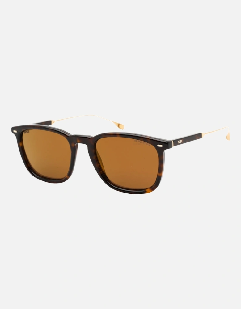 Brown Lensed Havana Brown Sunglasses