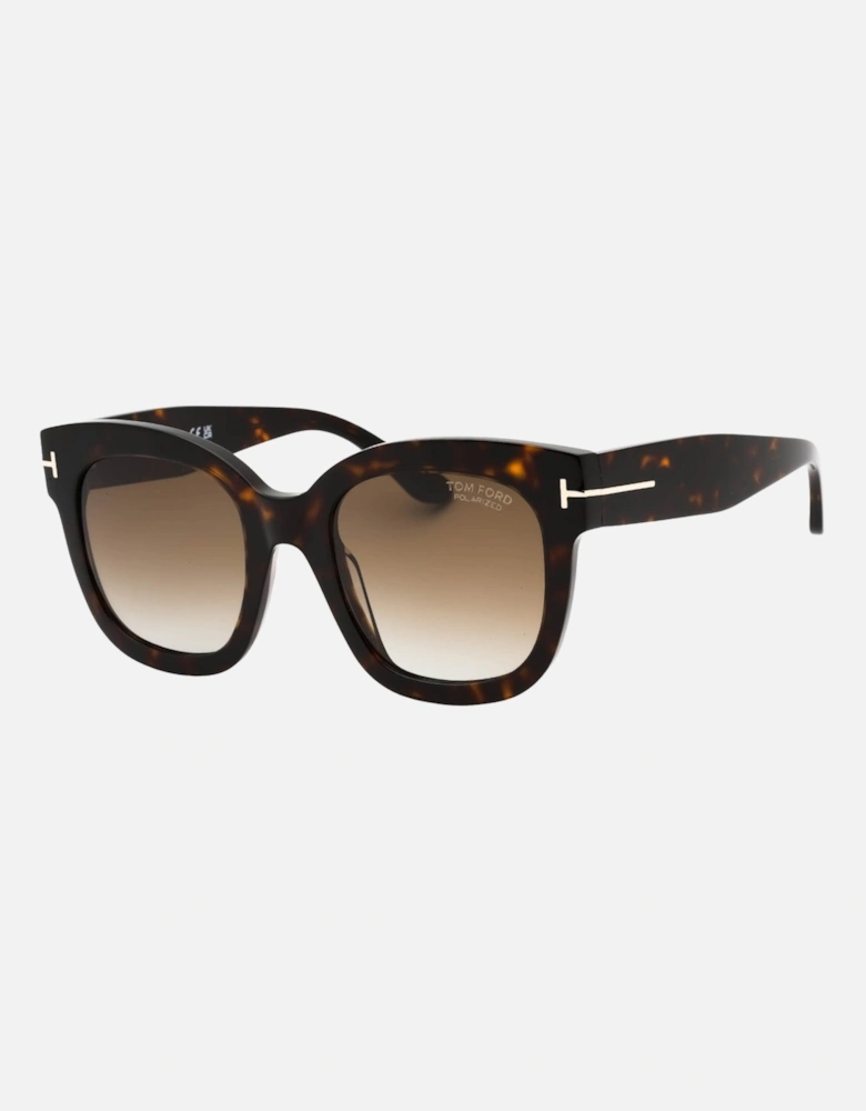 Dark Havana Thick Frame Brown Polarized Sunglasses