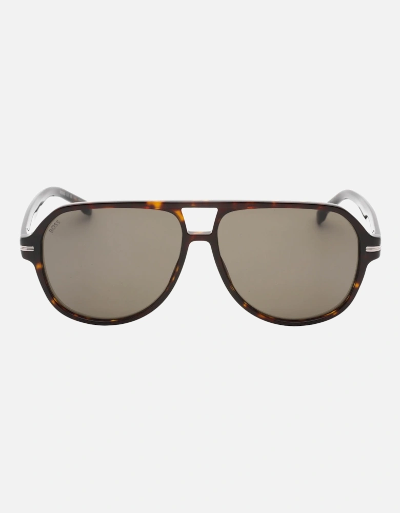 Havana Brown Framed Grey Lens Sunglasses