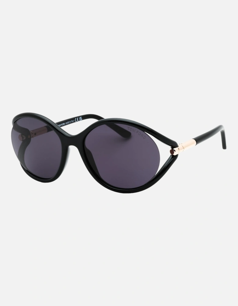 Dark Smoke Lens Shiny Black Sunglasses