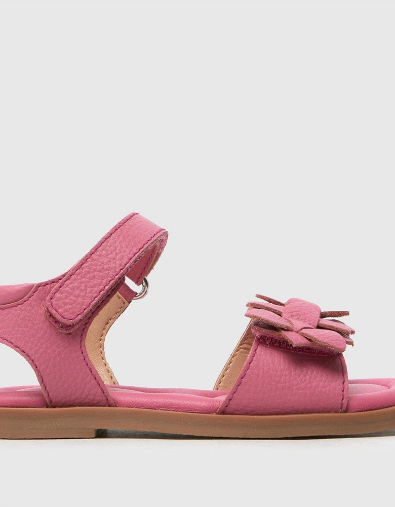 Toddler Tamber Leather Flower Sandals - Pink