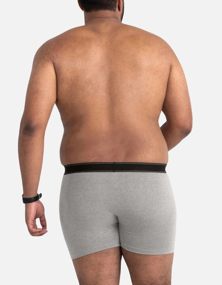 Daytripper Comfort Stretch Fly Boxer Brief 5", Grey Heather