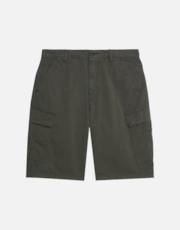 W485 Olive